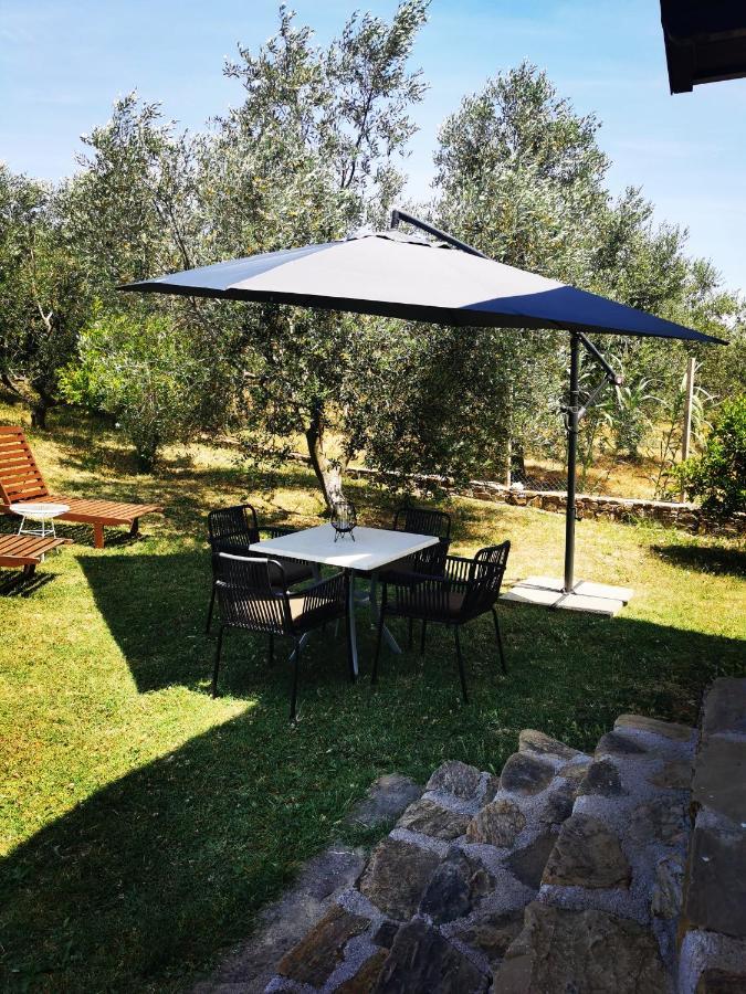 Apartments Jagodje Izola Εξωτερικό φωτογραφία